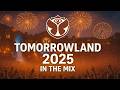 Tomorrowland 2025 David Guetta Martin Garrix Tiesto Meduza Avicii Axwell Gigi D Agostino