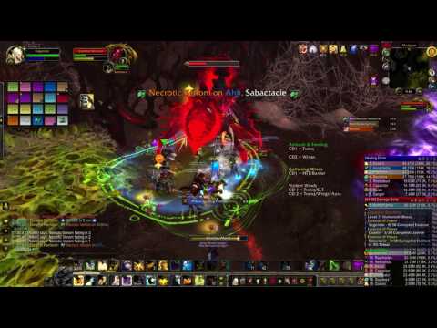 Mythic: Elerethe Renferal - Healer PoV
