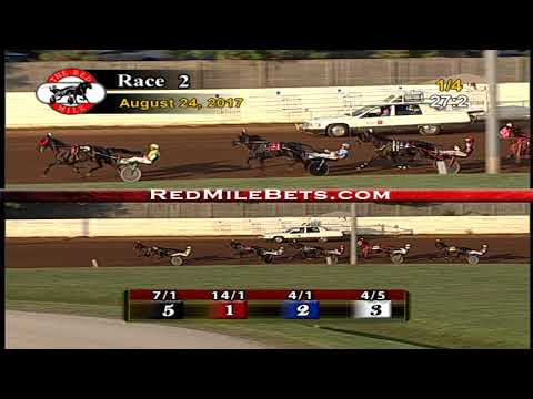 Red Mile Racetrack Race 1 8-24-2017