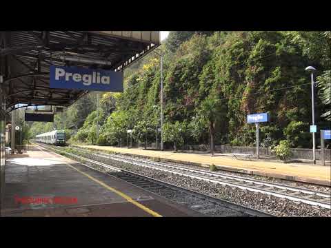 BLS RABe 535 REGIO EXPRES IN TRANSITO A PREGLIA. (VB) LINEA DEL SEMPIONE. SAB. 10 - 10 - 2020.