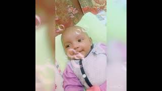 Download lagu ustaz hasnul jamal diwani bertandang kerumah amar mp3