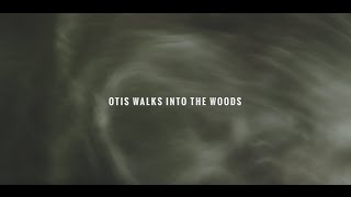 Mary Lattimore - Otis Walks Into The Woods
