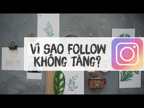 Vì sao Instagram Không Tăng Follow? Giải pháp !