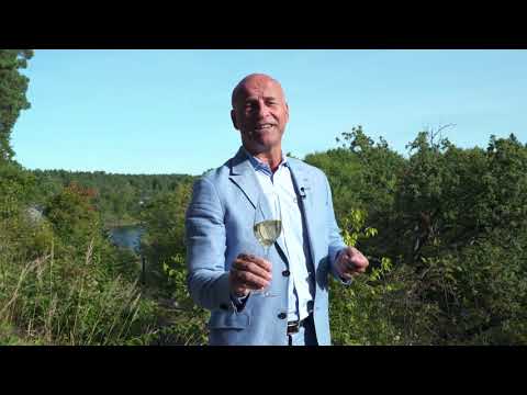 Richard Juhlin Champagne Tasting notes 1 - Champagne Club