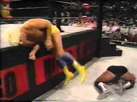Arn Anderson vs. Ric Flair - 10/2/95 Pt. 1