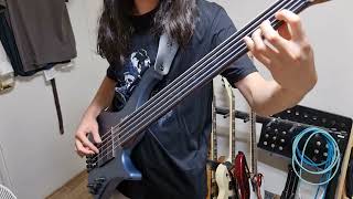 Video thumbnail for Fresh Stainless Roundwound on Fretless Bass (프렛리스 베이스에 스텐 라운드와운드 테스트) by ysyoon