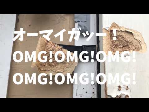 Food cart | Stolen | Tokyo Sando