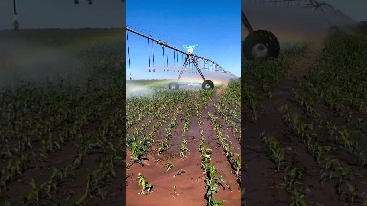 Maximizing Crop Yields with Central Pivot Irrigation Systems | Farming 101