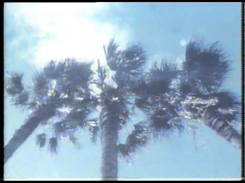 The Verlaines - Wind Song