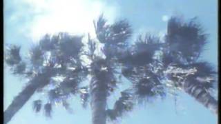 Music video thumbnail preview for The Verlaines - Wind Song by The Verlaines
