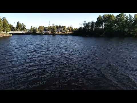 Kaupunki lohi hyppää. Oulu, Merikoski city salmon jump.#city #salmon #oulu #merikoski