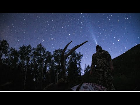Colorado OTC Archery Elk Hunt