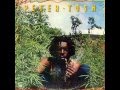 Peter Tosh - Amen