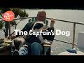 The Farmer S Dog Ad The Captain S Dog
