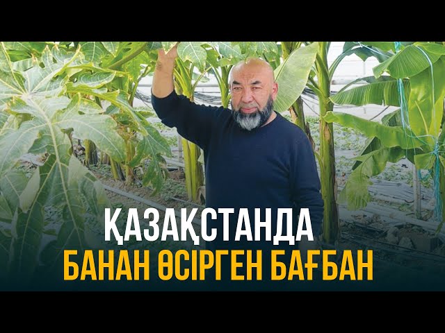 ЖАҢАЛЫҚТАР. 11.10.2023 күнгі шығарылым