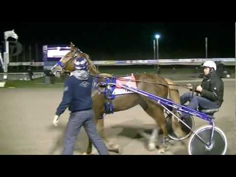 2011 Breeders Crown Merries C Troostafdeling - Caitlin Hanover (Rob de Vlieger)