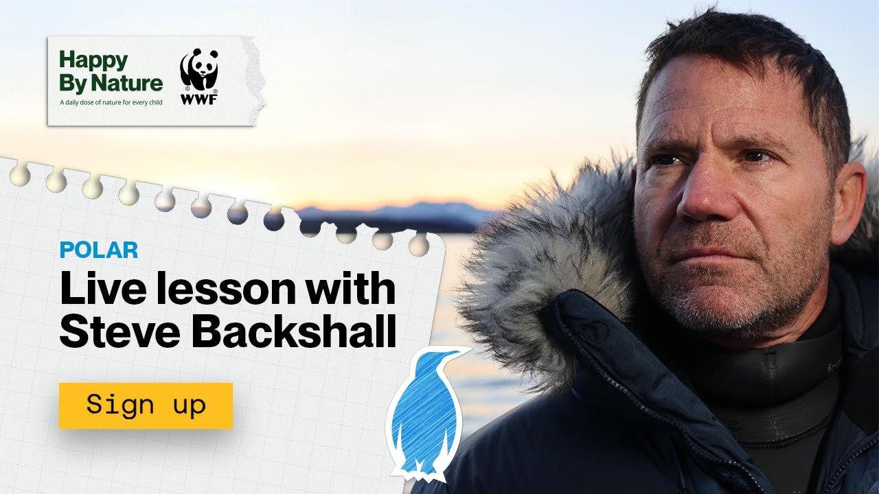 Polar Live Lesson With Steve Backshall | Happy By Nature