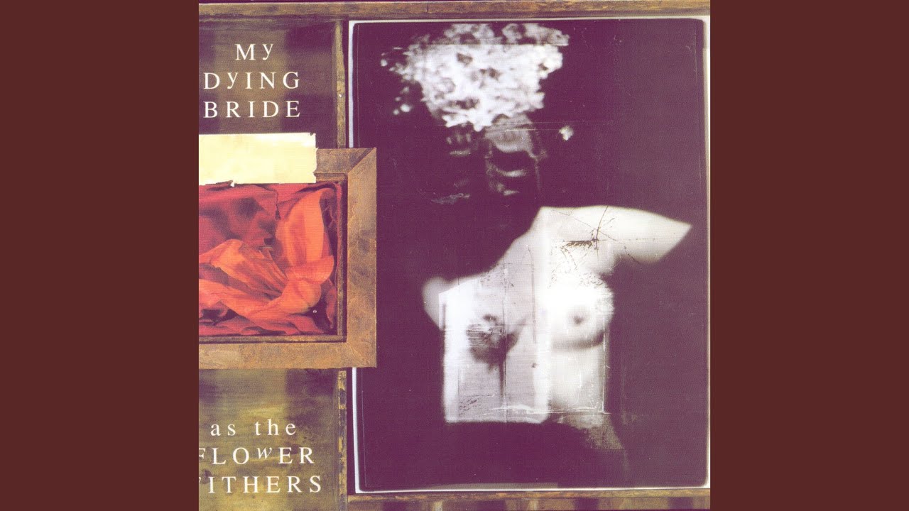 My Dying Bride - Vast Choirs