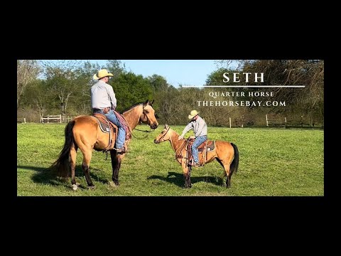 youtube preview