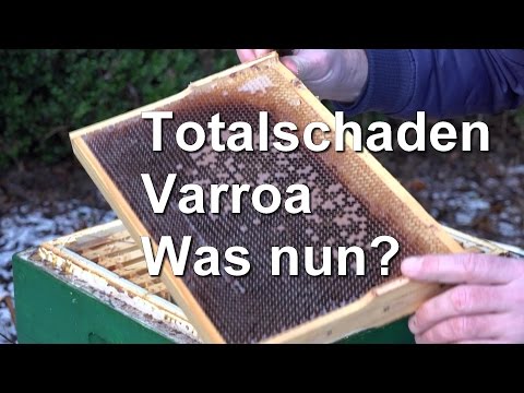 Schmerzen im Hüftgelenk auf der rechten Seite, welcher Arzt Tun Chirurgie Knieersatz