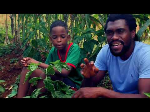 Dahvid Slur - Positive Mindset (Video by Dub School)