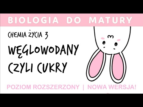 Chemistry of Life 3 🧪 Carbohydrates or Sugars 🍬 - Biology Advanced Matura