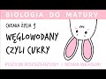 Chemistry Of Life 3 Carbohydrates Or Sugars Biology Advanced Matura