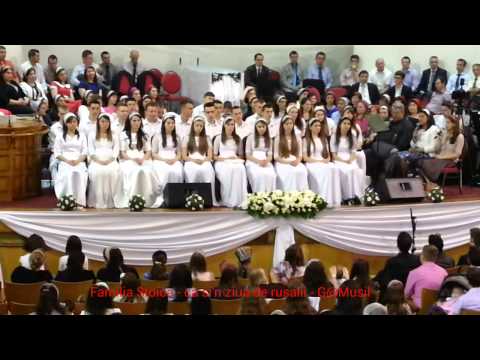 Familia Stoica - ca si'n ziua de rusalii