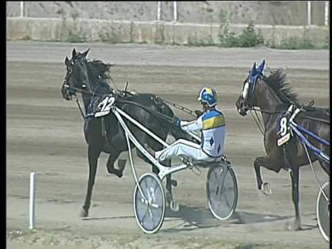 Trotto 15/06/2017 - 2ª corsa