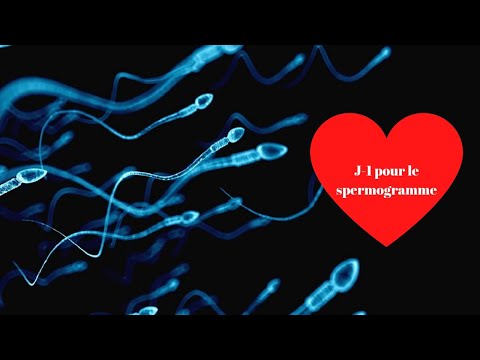 J-1 POUR LE SPERMOGRAMME