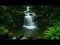 10 Minutes Meditation Relaxing Music Of Heart Sutra Japanese Zen Music