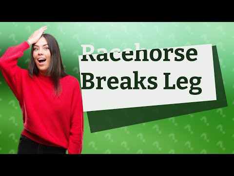, title : 'What happens if a racehorse breaks a leg?'