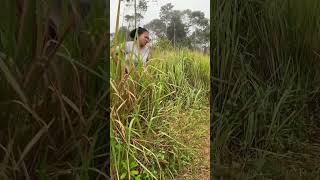 Download lagu The atmosphere in Erih mp3 Download lagu The atmosphere in Erih mp3