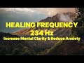 234 Hz Frequency | Increase Mental Clarity & Reduce Anxiety | Relaxing Music To Help You Sleep