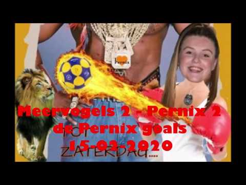 Meervogels 2 - Pernix 2 | de Pernix goals