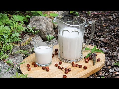 download lagu mp3 mp4 Hazelnut Milk Benefits, download lagu Hazelnut Milk Benefits gratis, unduh video klip Hazelnut Milk Benefits