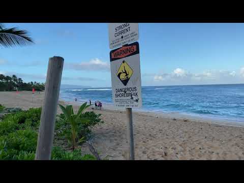 🏖️ Sunset Beach Park Oahu, Hawaii - Walking Video #sunset #waikiki #hawaiiwalk