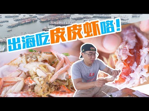 阳江︱在渔船上享用手臂那么长的皮皮虾，吃完这一顿大秋可以凉凉了！