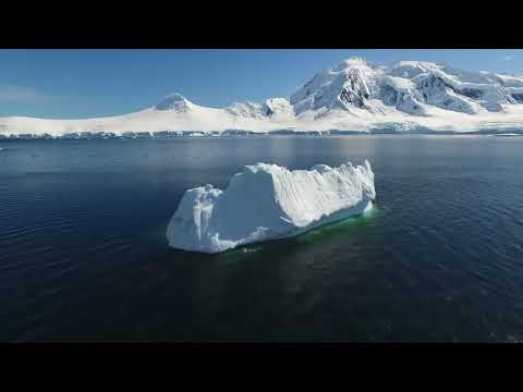 SURRENDER | SUNLOUNGER feat CHASE