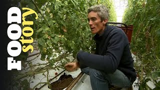 Thumbnail del capítulo