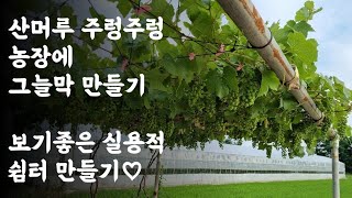 산머루 주렁주렁♡ 농장에 그늘막 만들기 / 보기좋은 실용적 쉼터 만들기♡