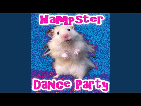 The Hampster Dance - Let's Go!