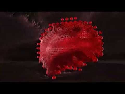 Chucky73 - Brazilera (Paco Osuna & Fer BR Remix)