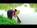 Cast Net Fishing Beautiful Village Woman Catching Fish With A Cast Net Village Extra Part 14