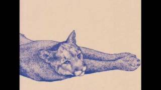 Koen Holtkamp - Night Swimmer