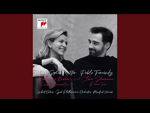 Piano Trio in G Minor, Op. 17: I. Allegro moderato