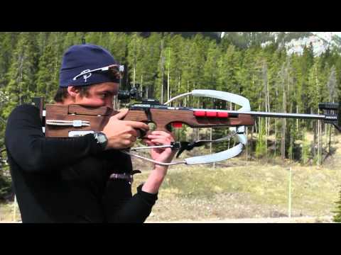 Dynamis Featured Video