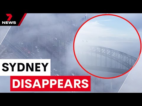 The morning Sydney disappeared | 7 News Australia
