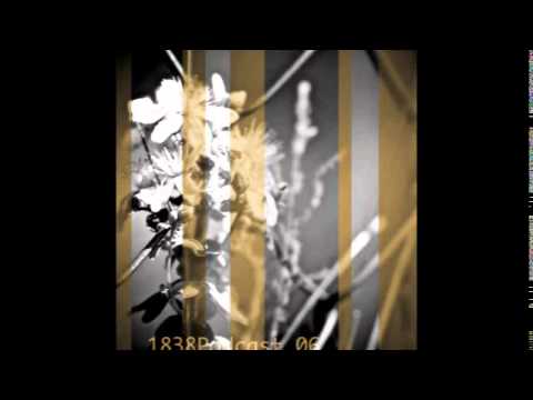 Alex Meshkov - 1838 Podcast06