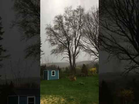 Storm In Elmira, NY